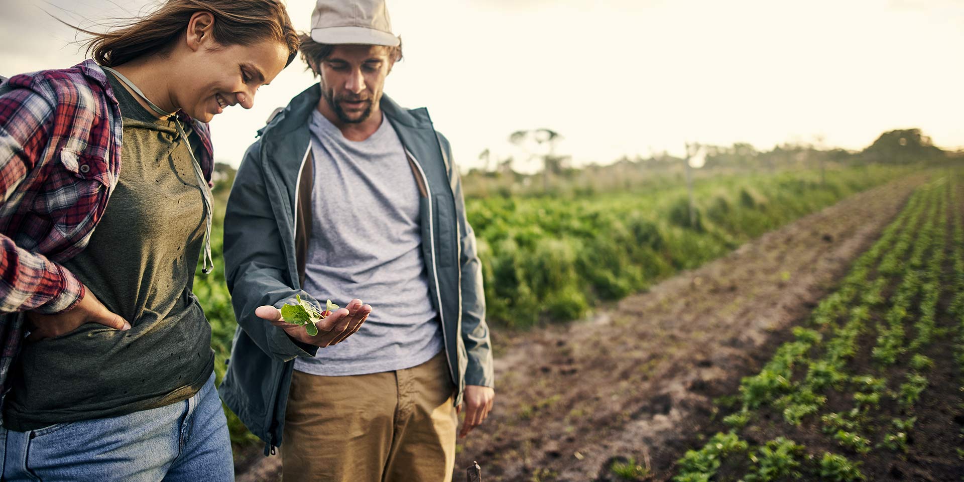 landwirtschaft, ernährungssystem