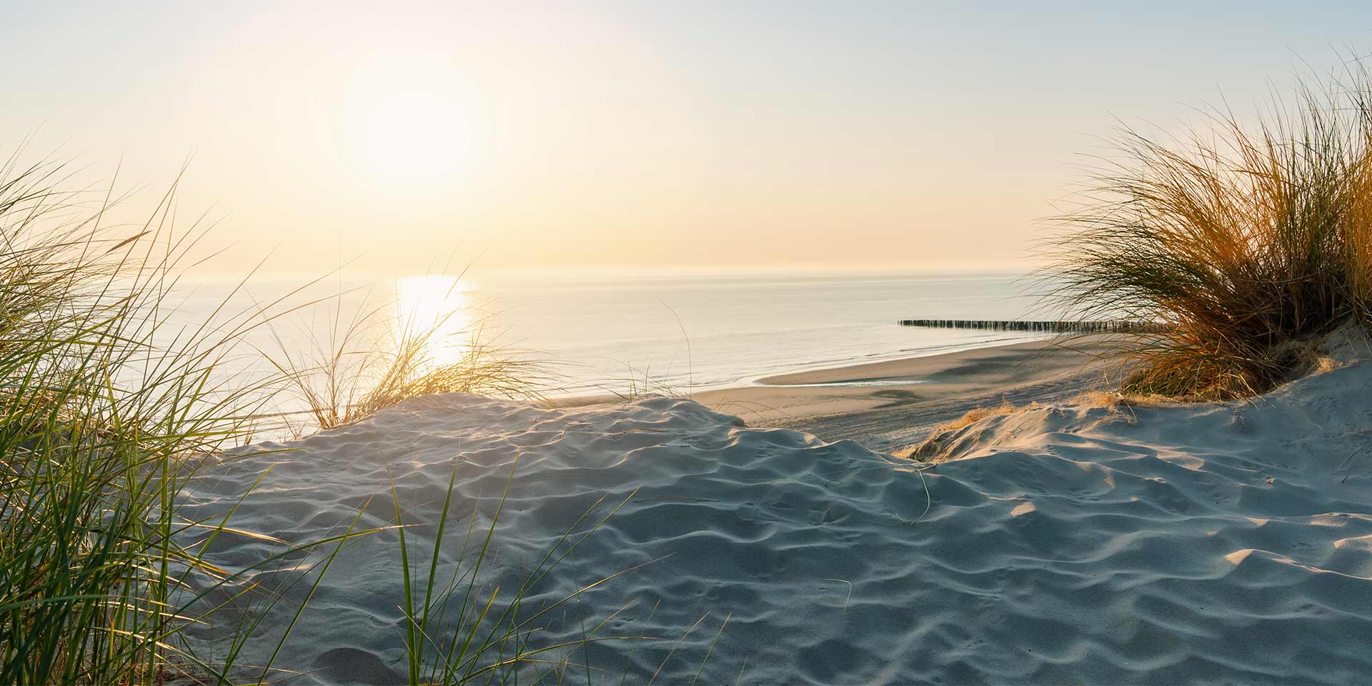 chronische krankheiten sanddüne