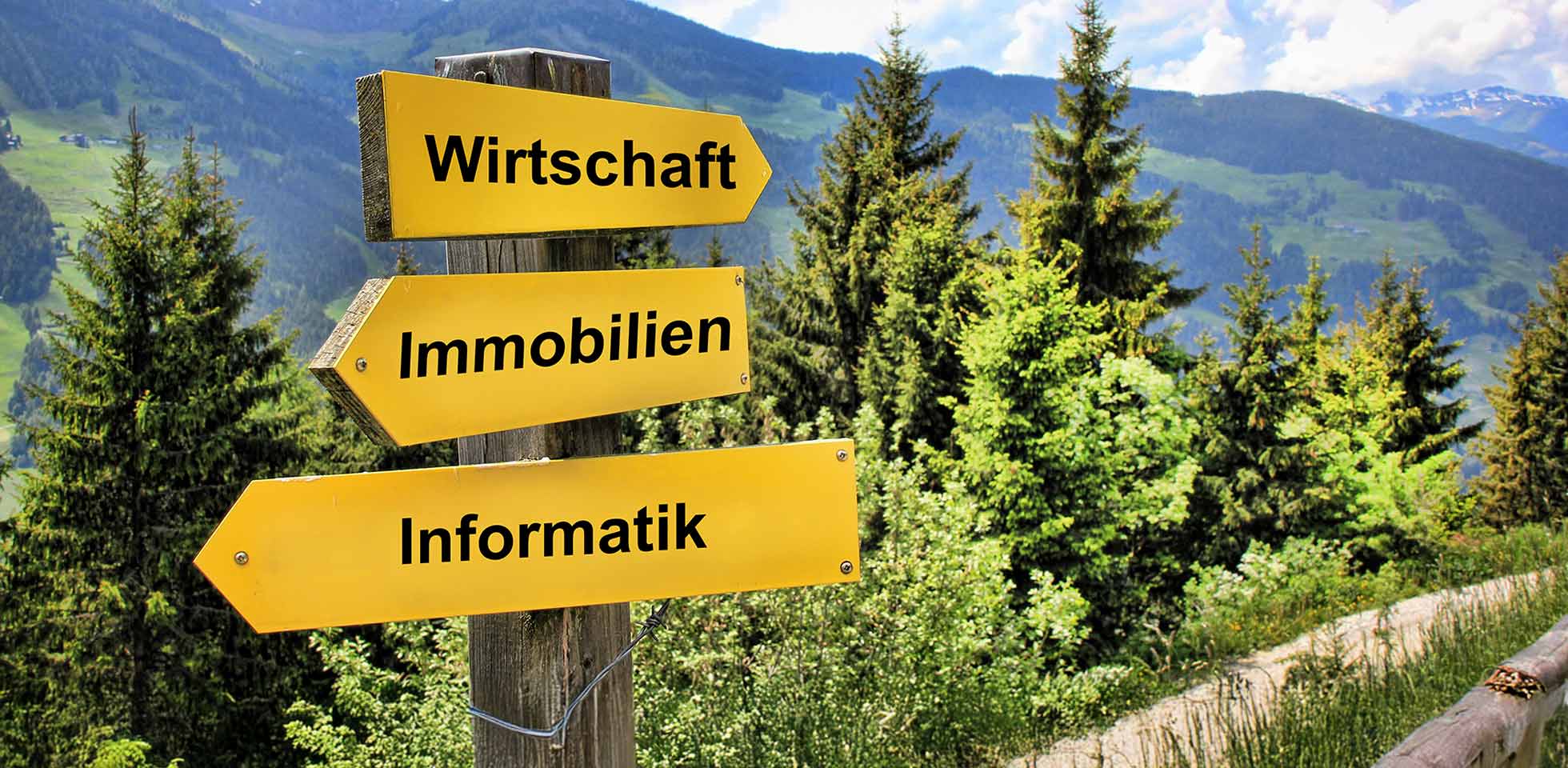 wegweiser in den alpen  ausbildungsnamen wirtschaft, immobilien, informatik