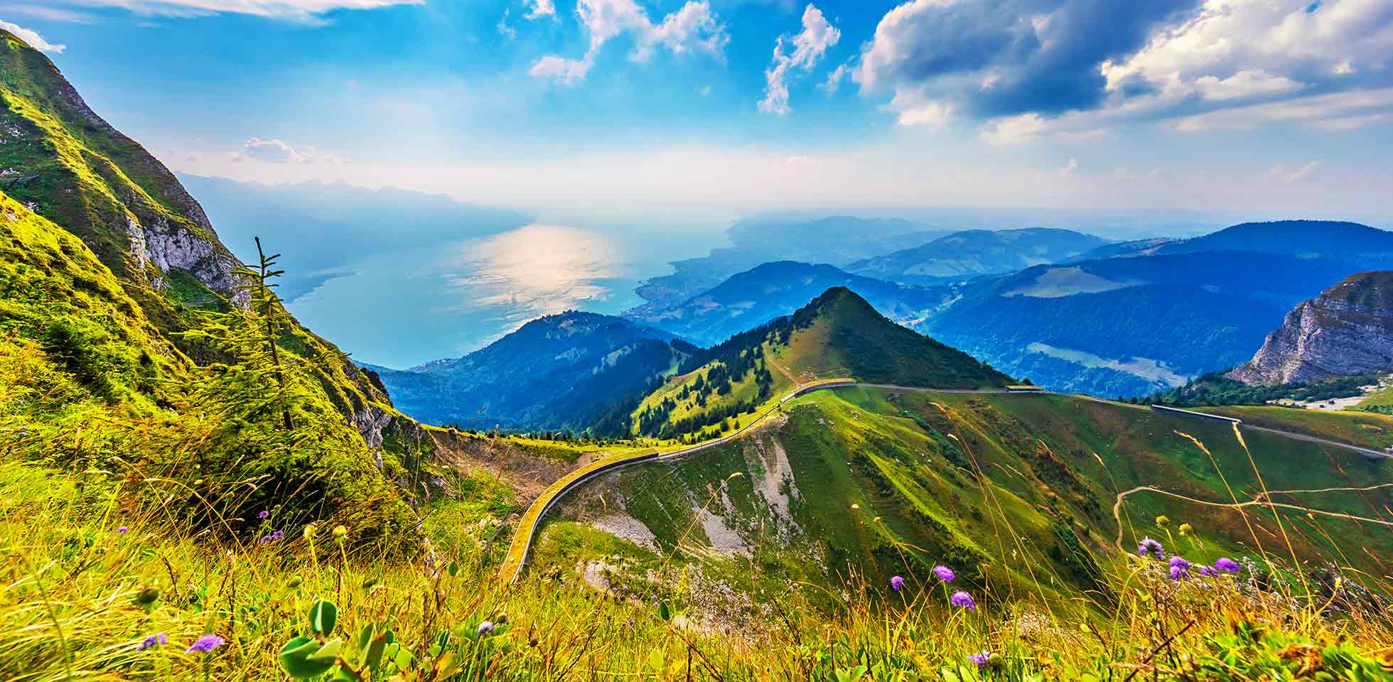 malerisches sommerpanorama vom gipfel des rochers de naye  grünen grashügeln, blumensen  dem genfer see in den alpen, schweiz. symbolbild berge erleben