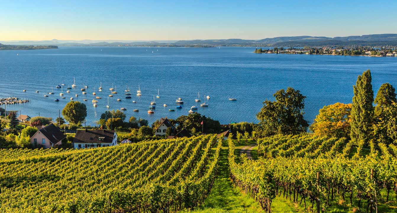 ausblick über den bodensee