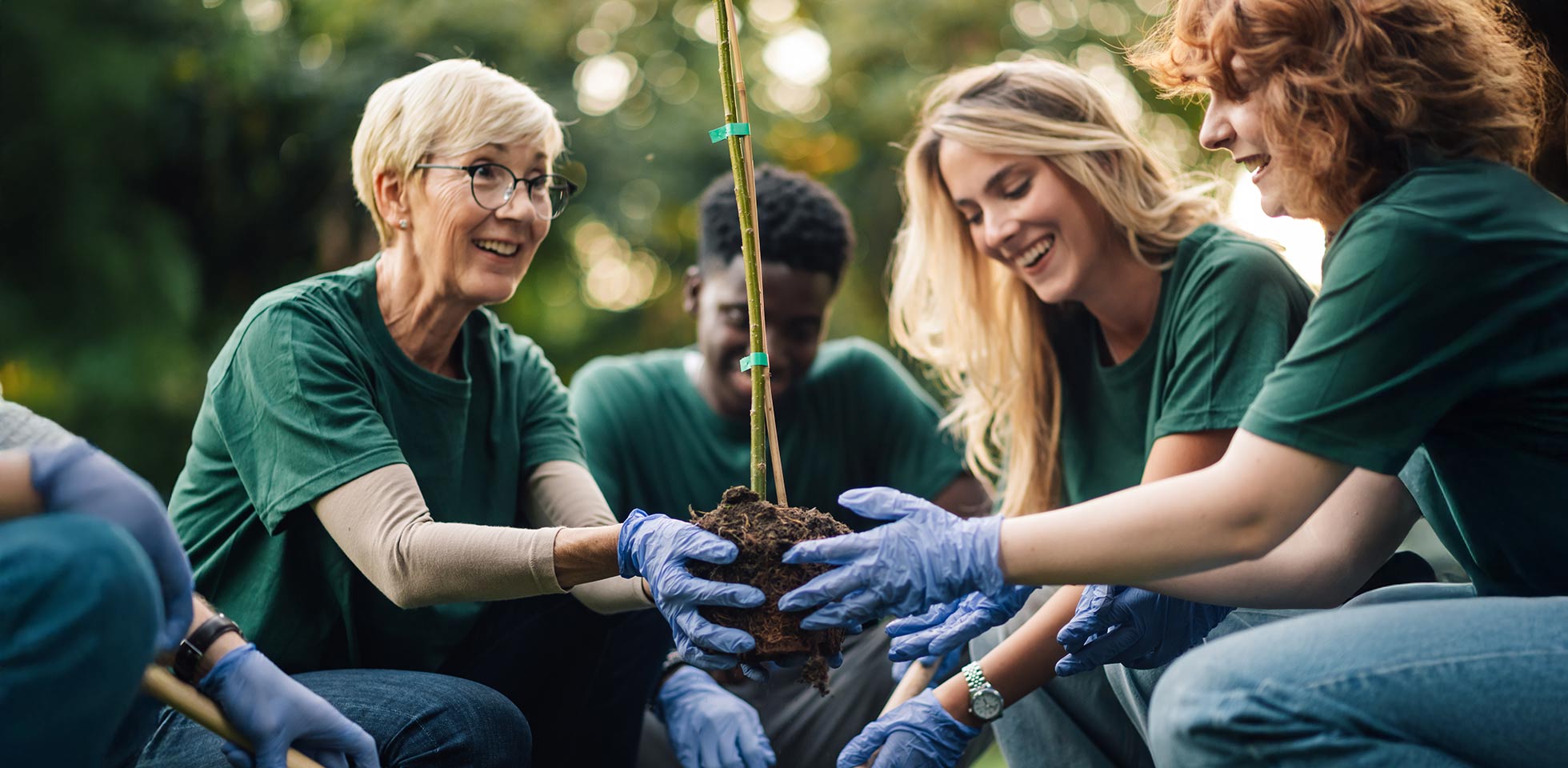 eine gruppe von freiwilligen pflanzt einen baum in einem park  arbeitet gemeinsam für den umweltschutz  eine grünere zukunft. symbolbild wohltätigkeit