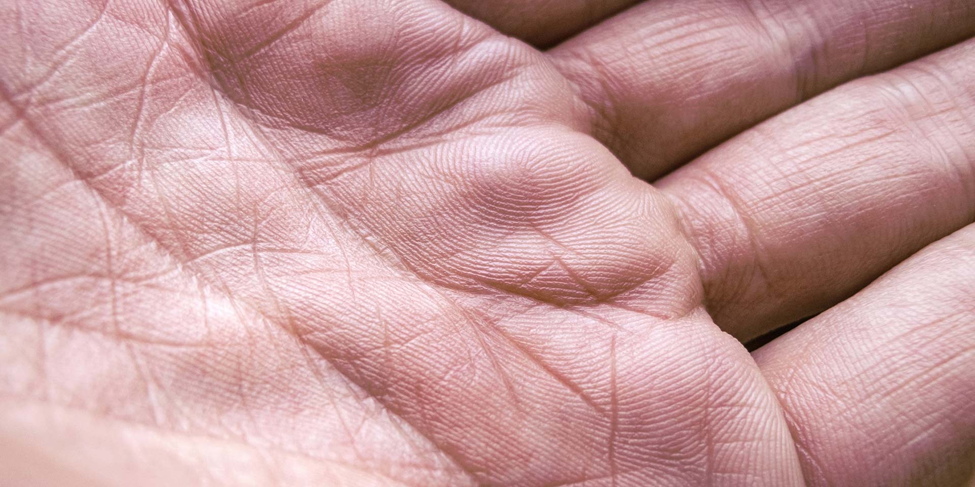 detail image of palms. close up handful