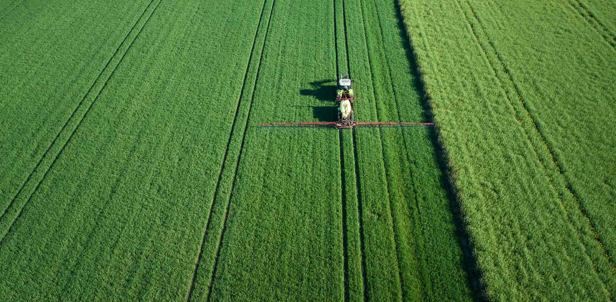 traktor auf einem weizenfeld im frühling – luftaufnahme. symbolbild agrarwende