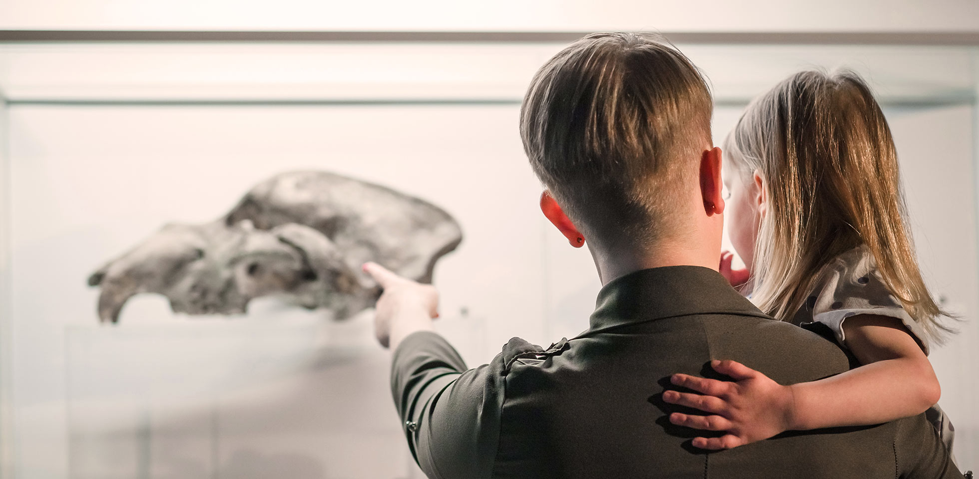 kleines mädchen in den armen seiner mutter,   glasvitrine  tierskeletten im naturkemuseum betrachtet. symbolbild lernen, kultur