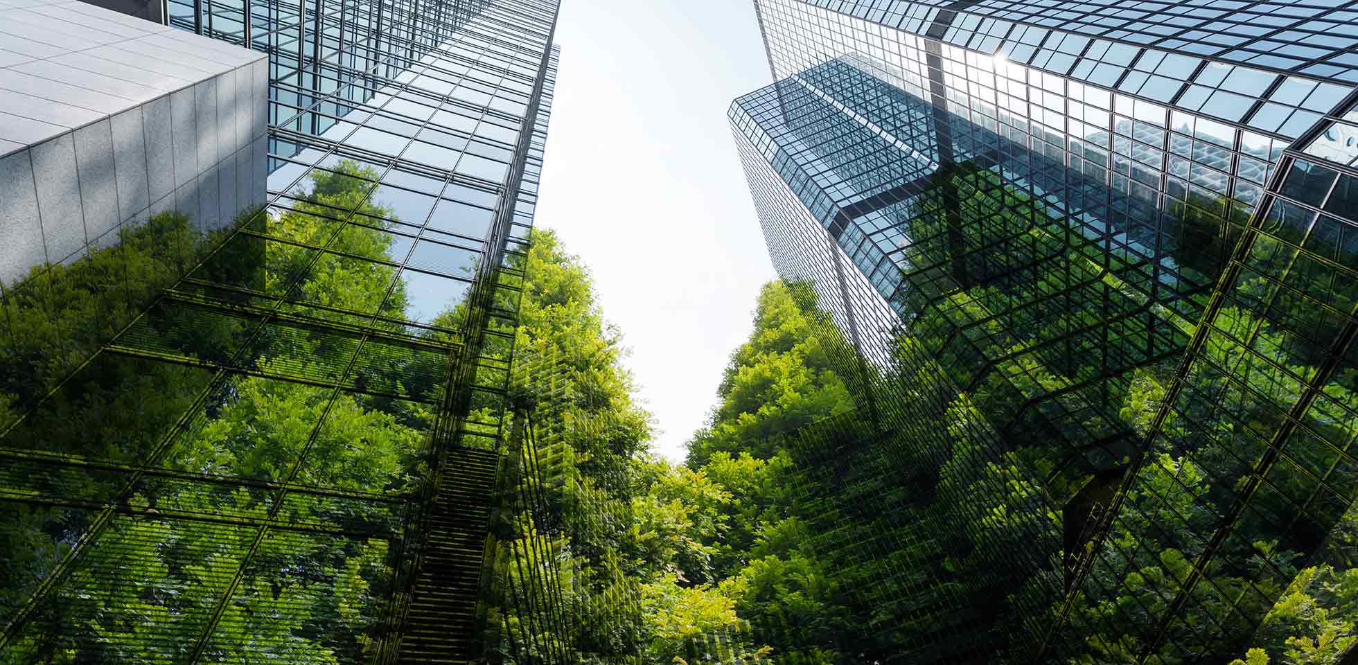 grüne bäume  bürogebäude, recycelbarer lebensstil. symbolbild sustainable finance