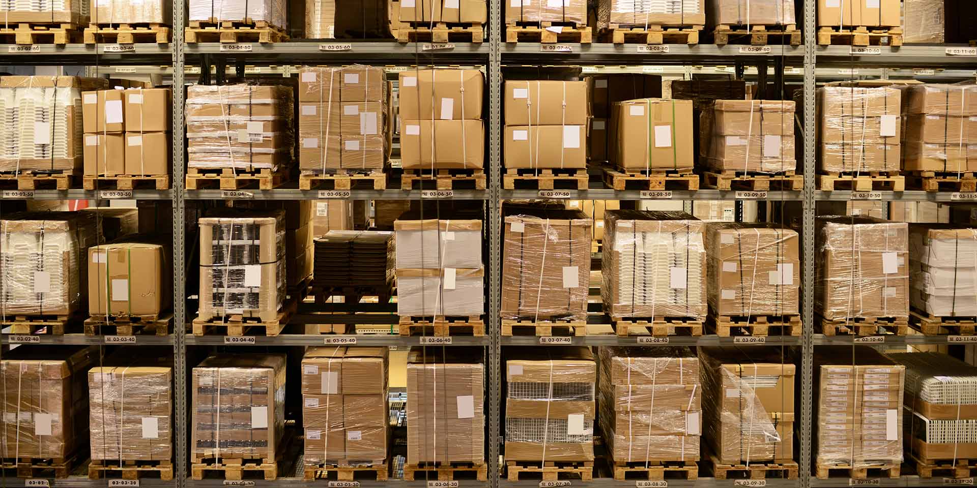 front view of warehouse and cargo shelf