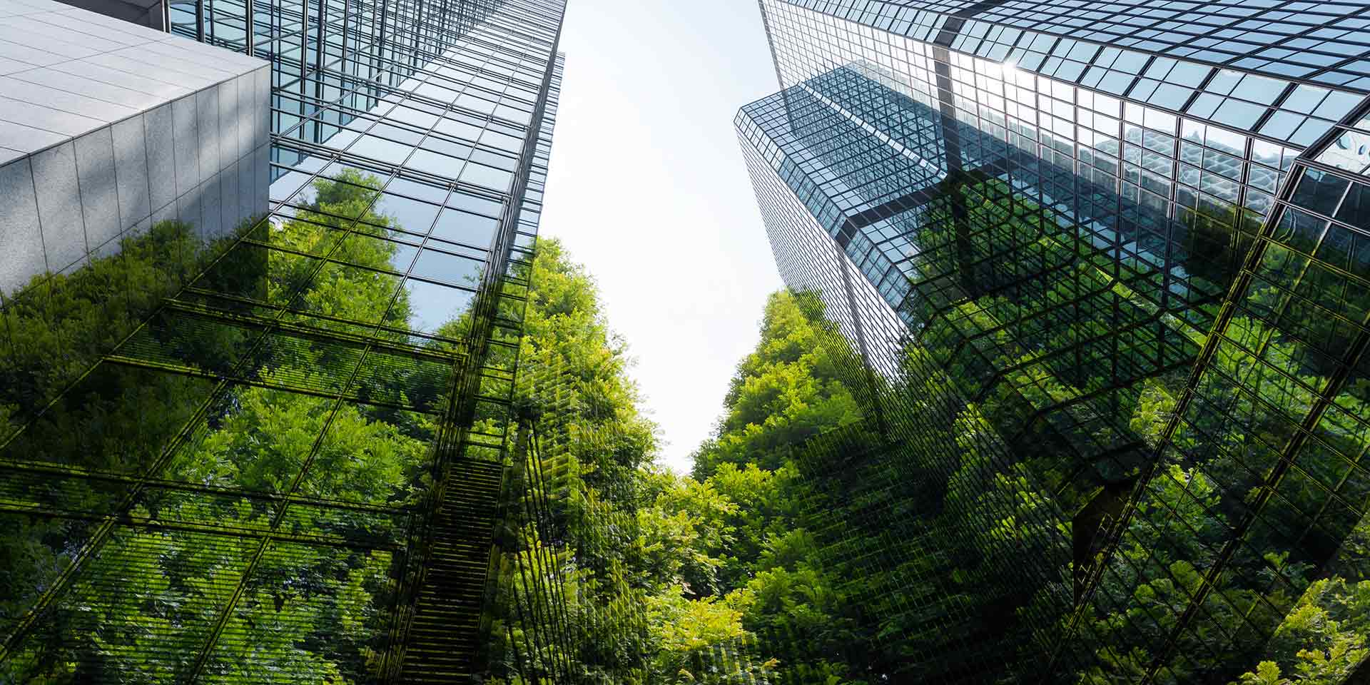 green trees and office buildings,recyclable concept lifestyle. wertschöpfung