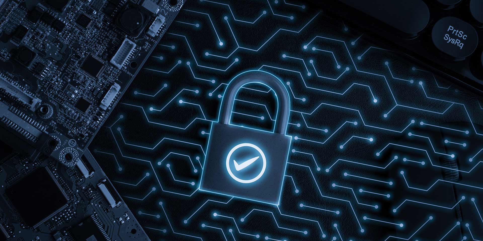 cyber