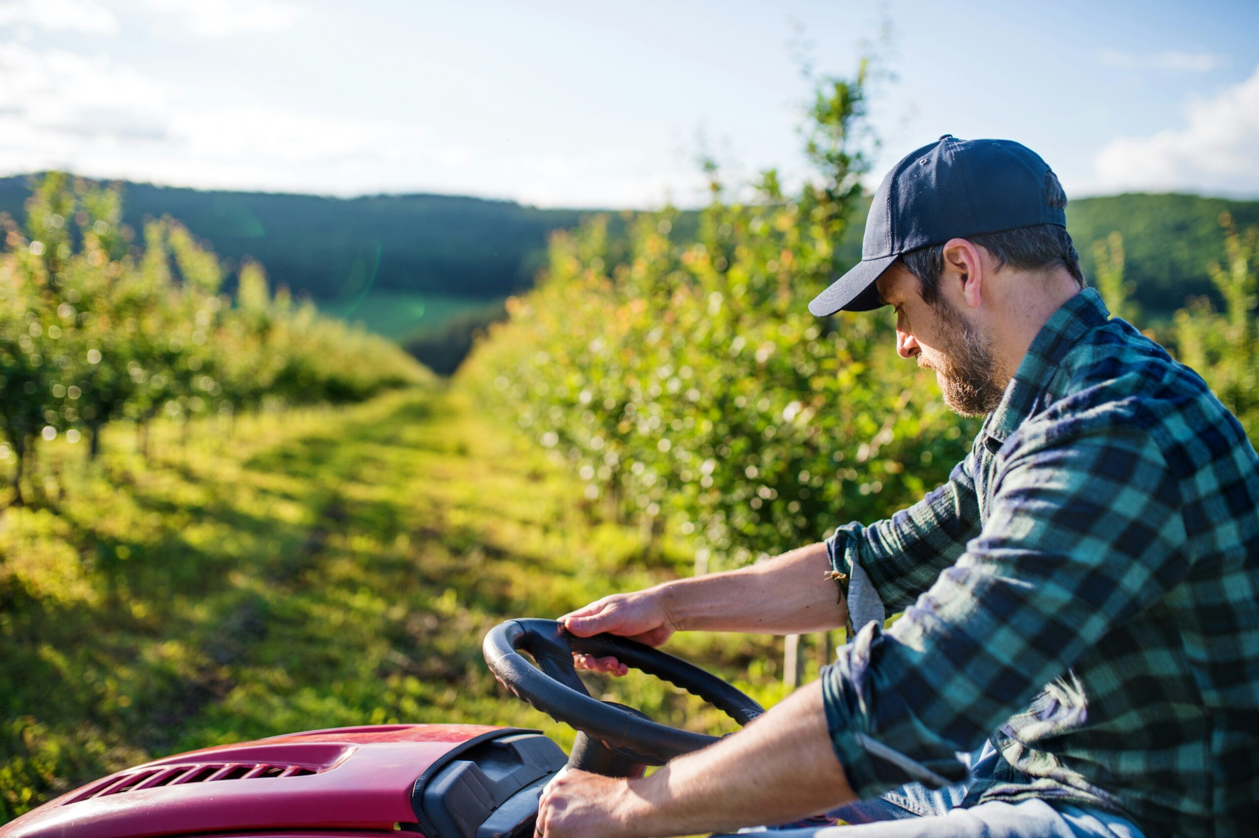 landwirtschaft zwischen klimadruck  wirtschaftlichem wandel landwirtschaft zwischen klimadruck  wirtschaftlichem wandel